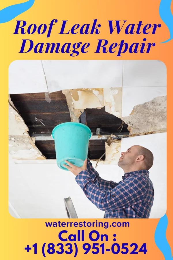 Roof Leak Water Damage Repair in South Bend, WA